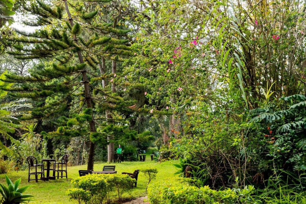 Narumoru River Lodge image 4